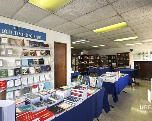 Oportunidad única de alquiler en el corazón de San José